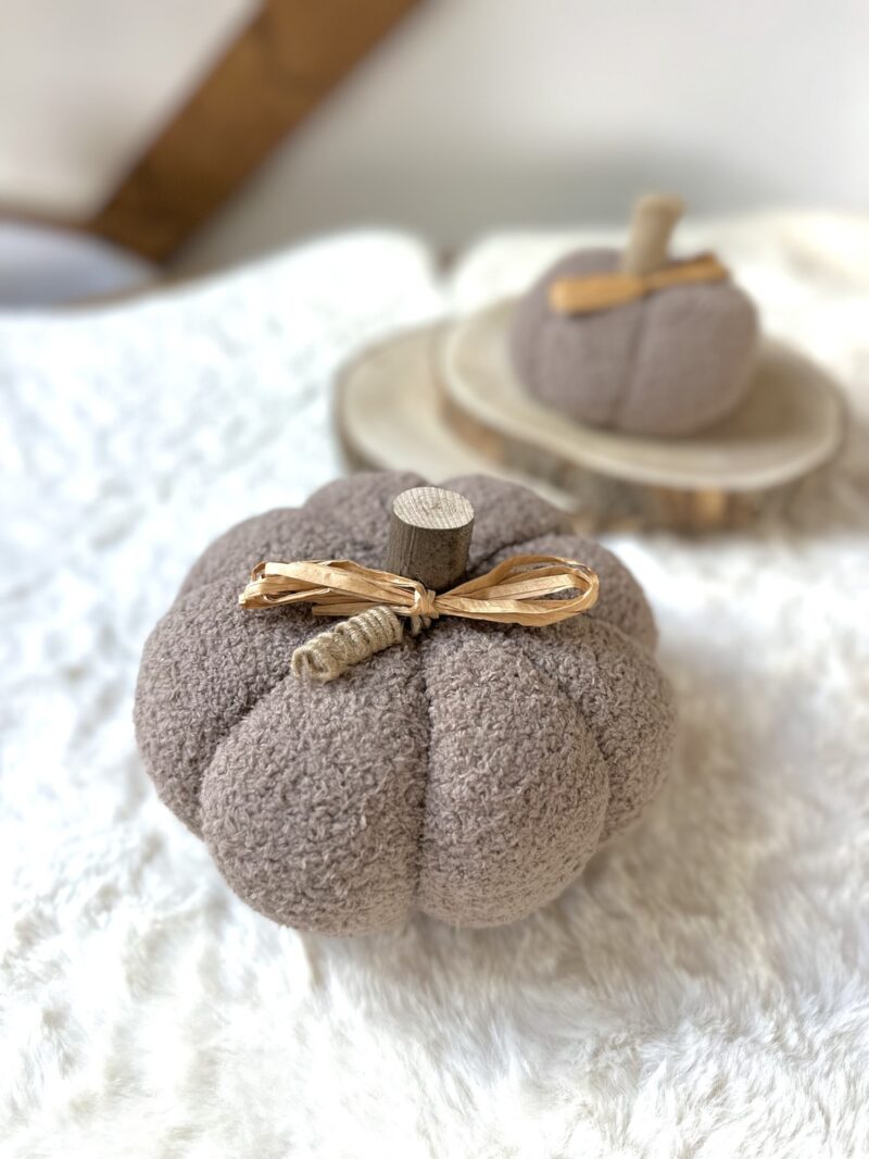 Citrouille mouton - Modèle COCOON