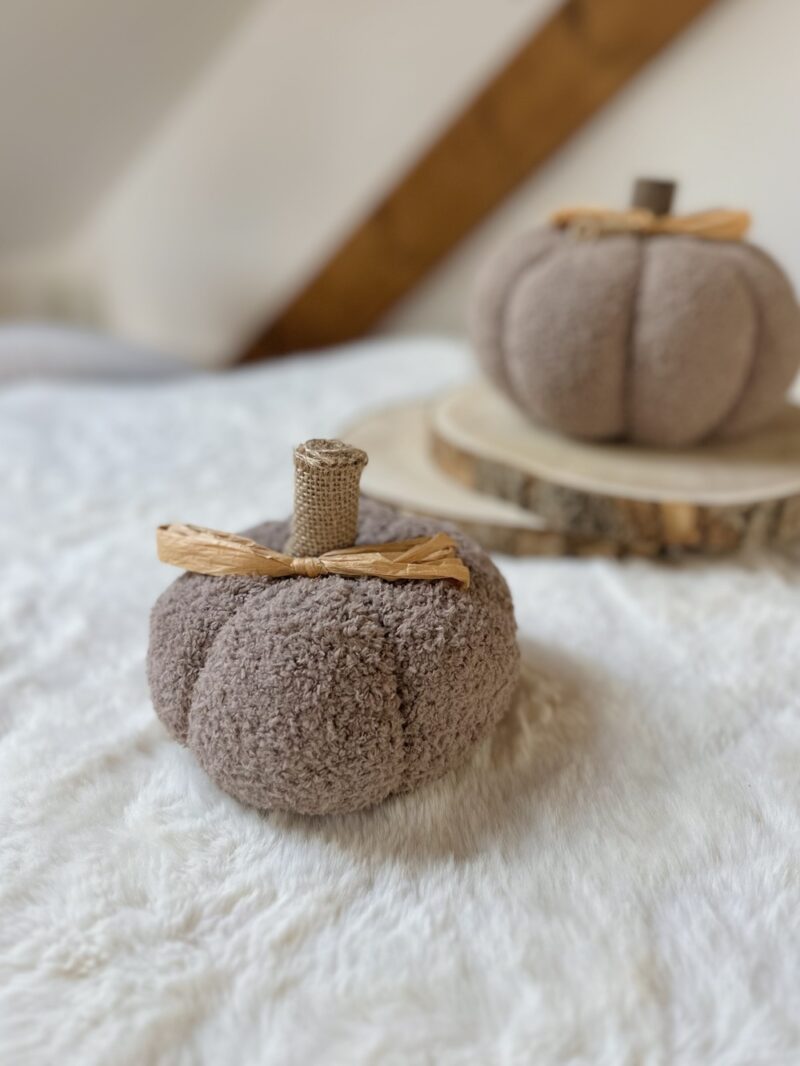 Citrouille mouton - Modèle PETIT COCOON