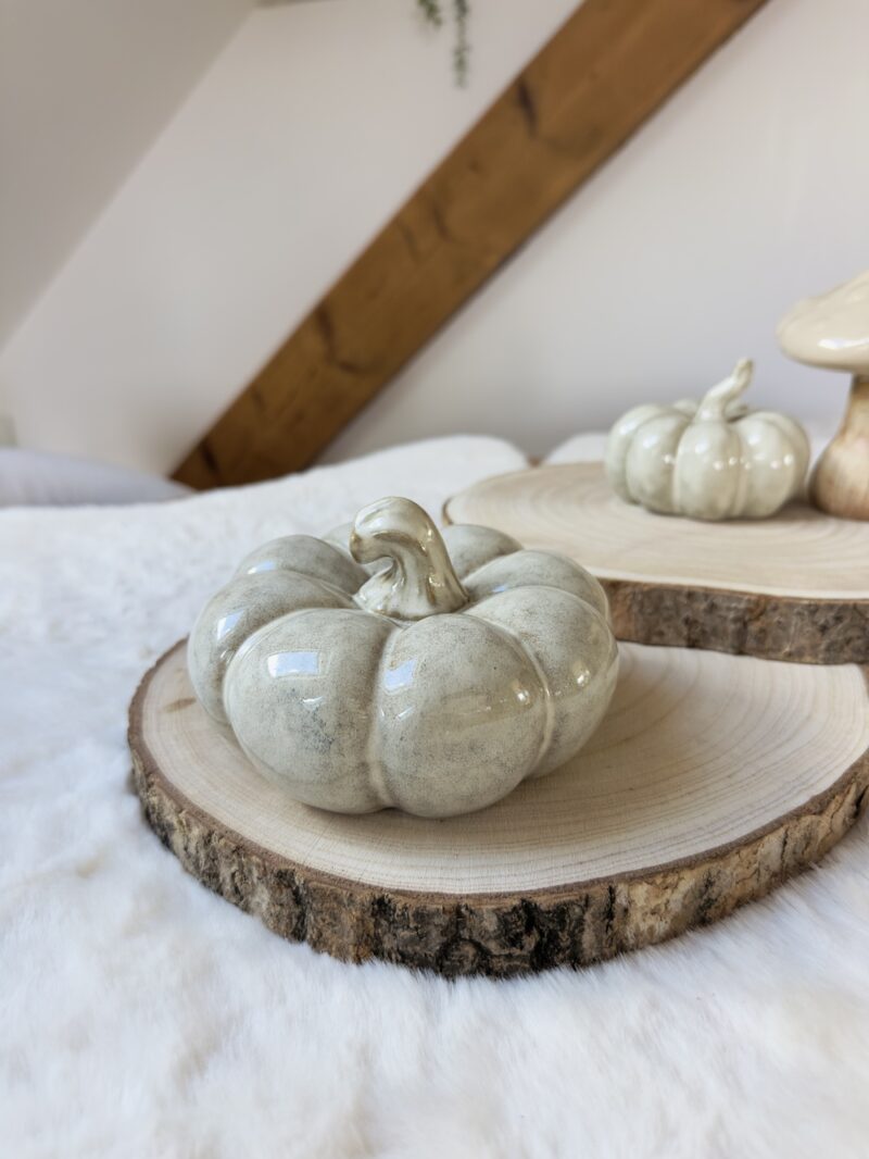 Citrouille en céramique - Modèle VELOURS