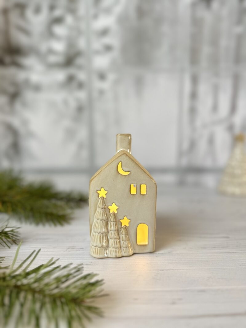 Maison lumineuse - Modèle MAISON DES SAPINS