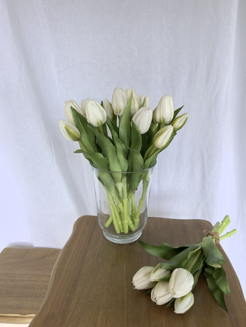 Bouquet de 5 tulipes - BLANC