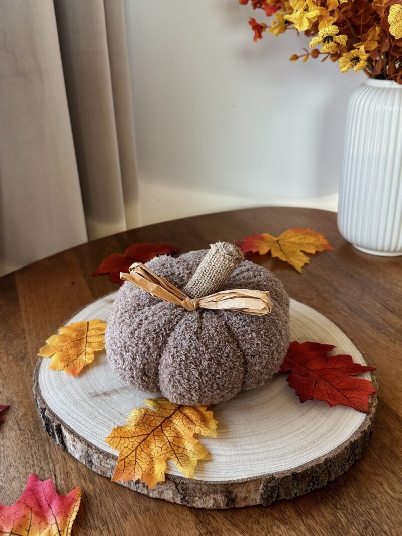 Petite citrouille mouton