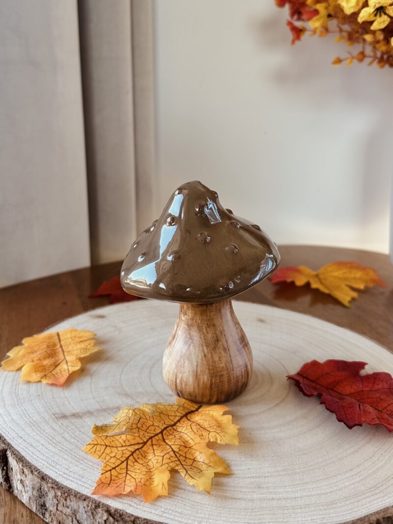 Champignon en céramique marron